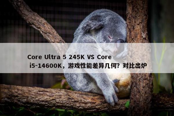 Core Ultra 5 245K VS Core i5-14600K，游戏性能差异几何？对比出炉