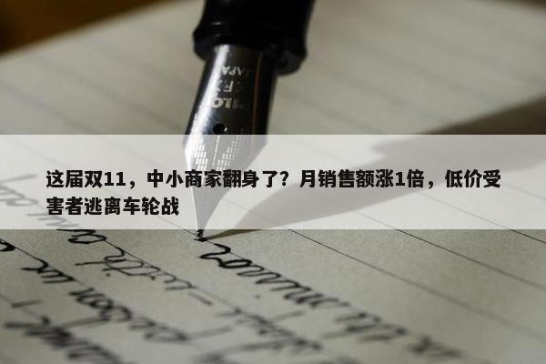 这届双11，中小商家翻身了？月销售额涨1倍，低价受害者逃离车轮战