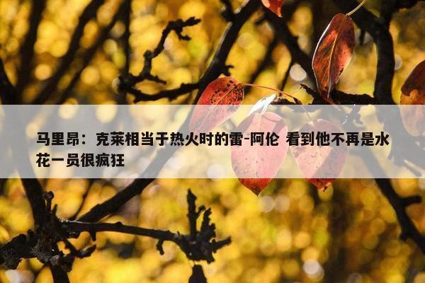 马里昂：克莱相当于热火时的雷-阿伦 看到他不再是水花一员很疯狂