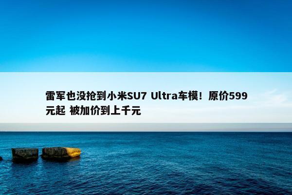 雷军也没抢到小米SU7 Ultra车模！原价599元起 被加价到上千元