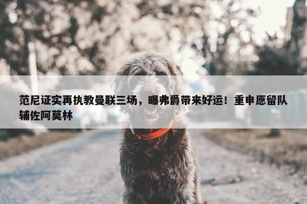 范尼证实再执教曼联三场，曝弗爵带来好运！重申愿留队辅佐阿莫林