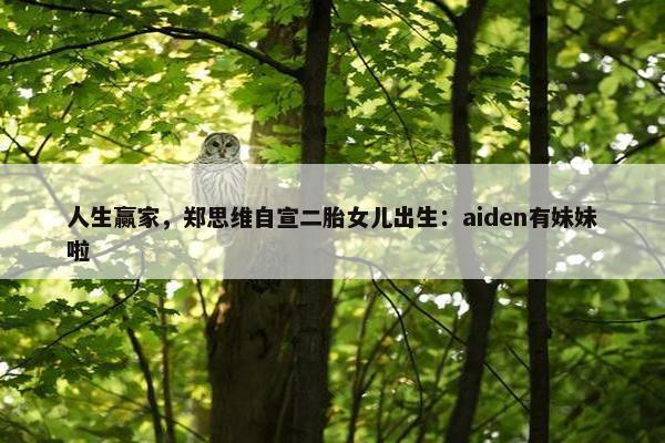 人生赢家，郑思维自宣二胎女儿出生：aiden有妹妹啦