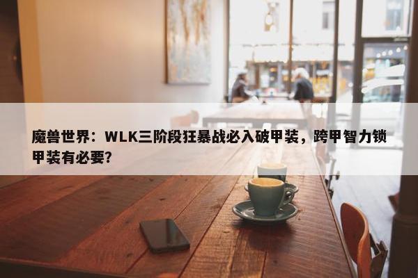 魔兽世界：WLK三阶段狂暴战必入破甲装，跨甲智力锁甲装有必要？