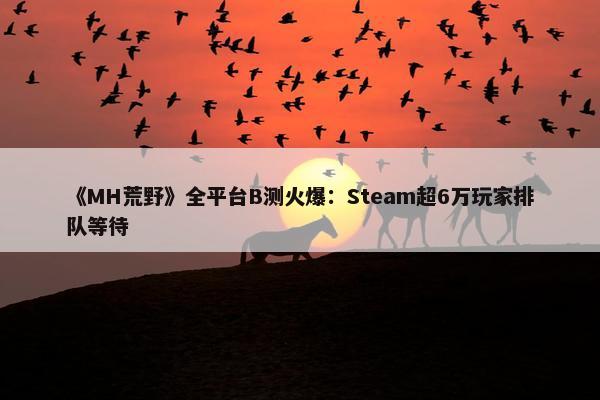 《MH荒野》全平台B测火爆：Steam超6万玩家排队等待