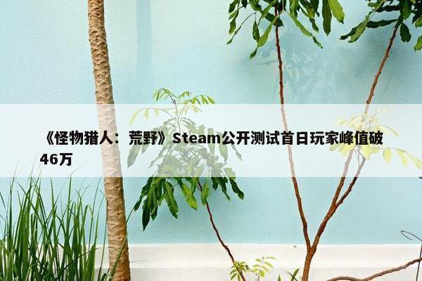 《怪物猎人：荒野》Steam公开测试首日玩家峰值破46万