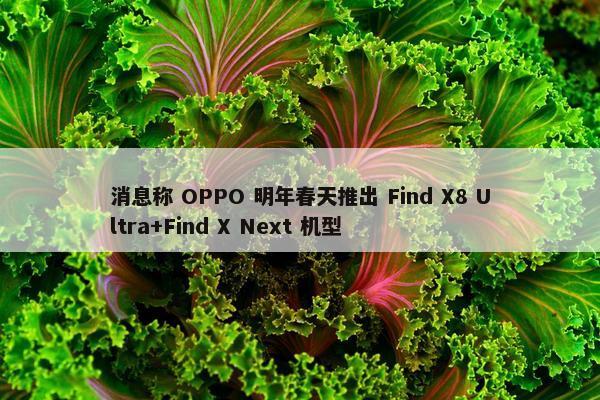 消息称 OPPO 明年春天推出 Find X8 Ultra+Find X Next 机型