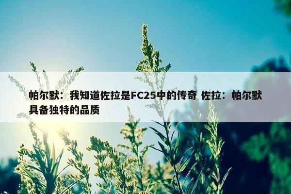 帕尔默：我知道佐拉是FC25中的传奇 佐拉：帕尔默具备独特的品质