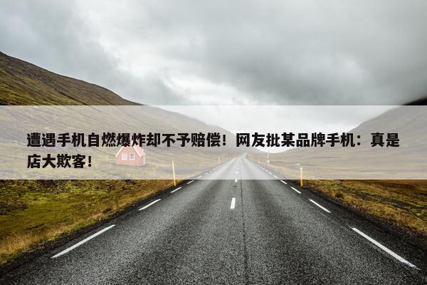 遭遇手机自燃爆炸却不予赔偿！网友批某品牌手机：真是店大欺客！