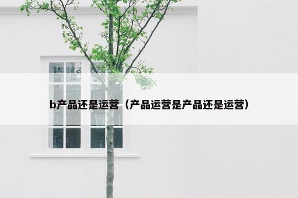 b产品还是运营（产品运营是产品还是运营）