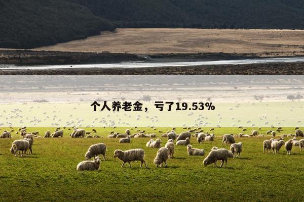 个人养老金，亏了19.53%