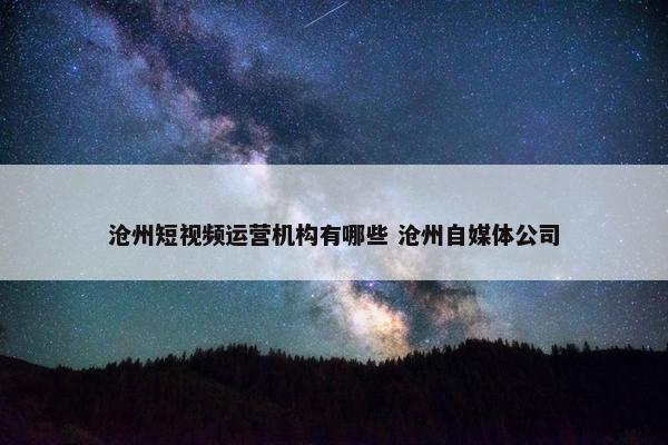 沧州短视频运营机构有哪些 沧州自媒体公司