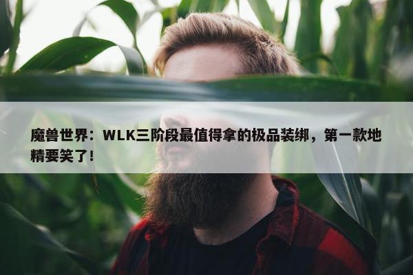 魔兽世界：WLK三阶段最值得拿的极品装绑，第一款地精要笑了！