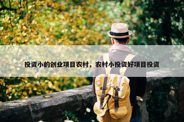 投资小的创业项目农村，农村小投资好项目投资