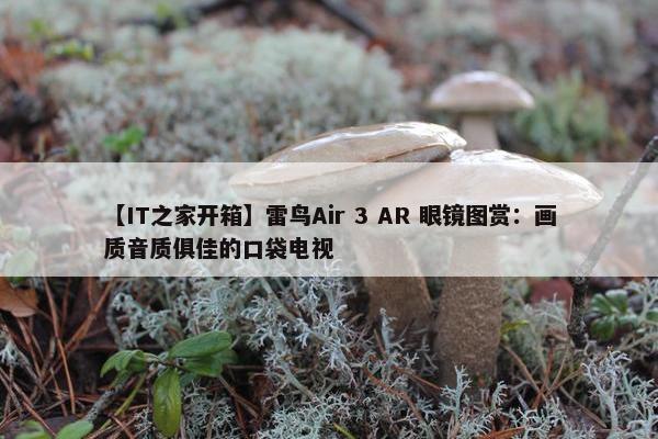 【IT之家开箱】雷鸟Air 3 AR 眼镜图赏：画质音质俱佳的口袋电视