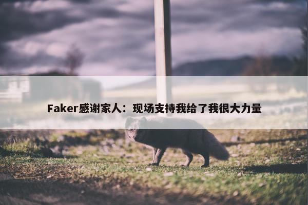 Faker感谢家人：现场支持我给了我很大力量