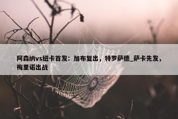 阿森纳vs纽卡首发：加布复出，特罗萨德_萨卡先发，梅里诺出战