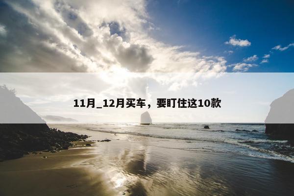 11月_12月买车，要盯住这10款