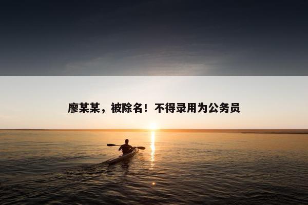 廖某某，被除名！不得录用为公务员