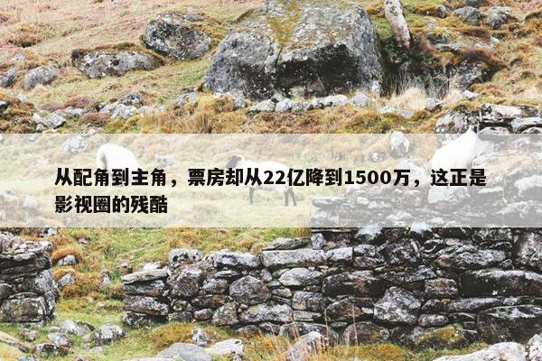 从配角到主角，票房却从22亿降到1500万，这正是影视圈的残酷