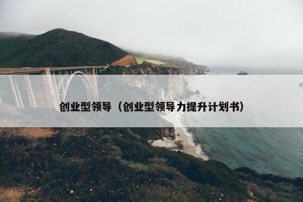 创业型领导（创业型领导力提升计划书）