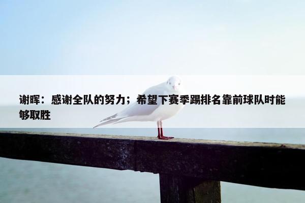 谢晖：感谢全队的努力；希望下赛季踢排名靠前球队时能够取胜