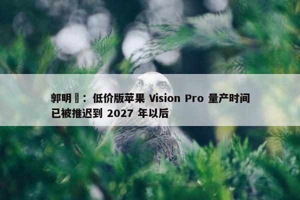 郭明錤：低价版苹果 Vision Pro 量产时间已被推迟到 2027 年以后