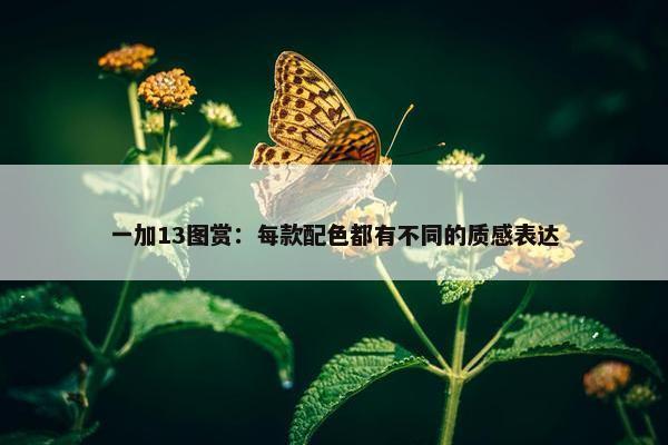 一加13图赏：每款配色都有不同的质感表达