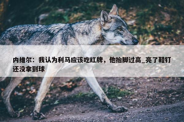 内维尔：我认为利马应该吃红牌，他抬脚过高_亮了鞋钉还没拿到球