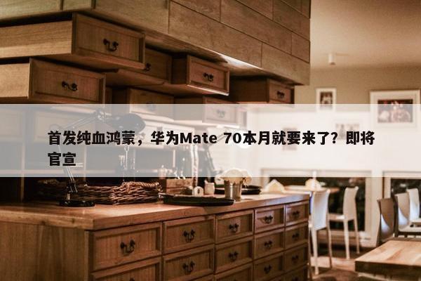 首发纯血鸿蒙，华为Mate 70本月就要来了？即将官宣