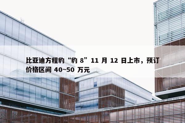 比亚迪方程豹“豹 8”11 月 12 日上市，预订价格区间 40~50 万元