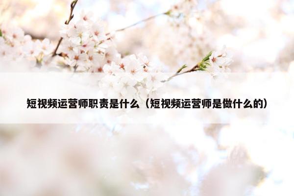 短视频运营师职责是什么（短视频运营师是做什么的）