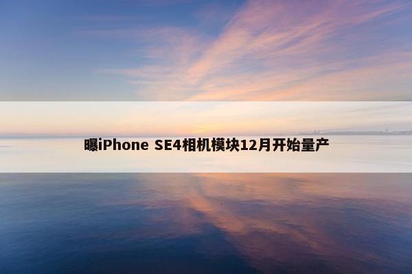 曝iPhone SE4相机模块12月开始量产