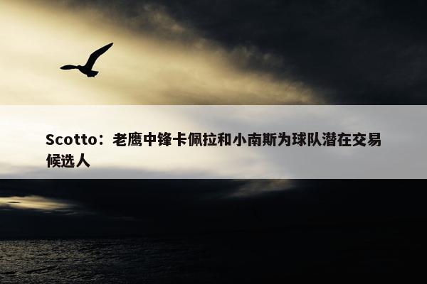 Scotto：老鹰中锋卡佩拉和小南斯为球队潜在交易候选人