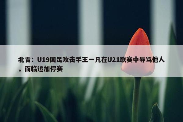 北青：U19国足攻击手王一凡在U21联赛中辱骂他人，面临追加停赛