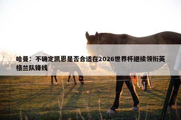 哈曼：不确定凯恩是否合适在2026世界杯继续领衔英格兰队锋线