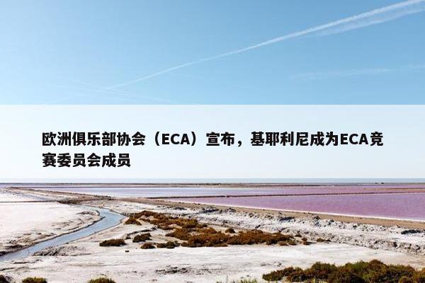 欧洲俱乐部协会（ECA）宣布，基耶利尼成为ECA竞赛委员会成员