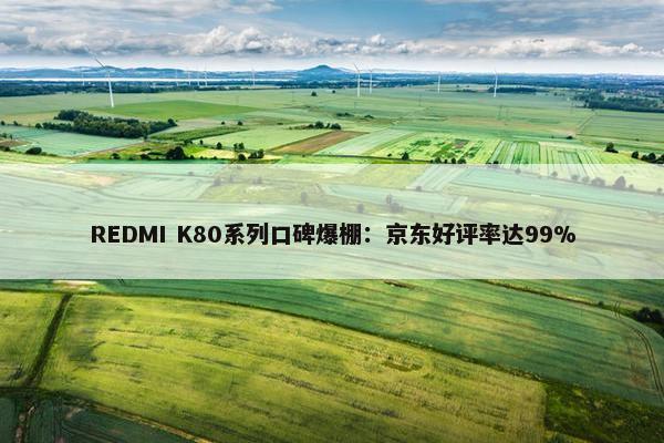 REDMI K80系列口碑爆棚：京东好评率达99%