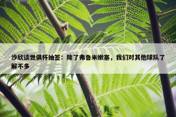 沙欣谈世俱杯抽签：除了弗鲁米嫩塞，我们对其他球队了解不多