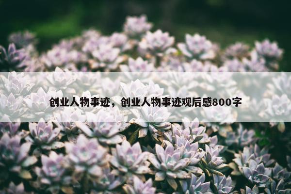 创业人物事迹，创业人物事迹观后感800字