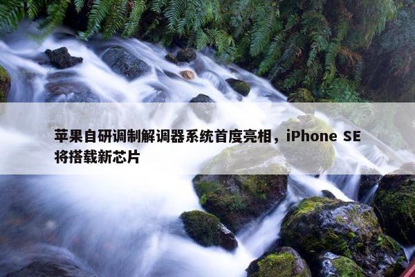 苹果自研调制解调器系统首度亮相，iPhone SE将搭载新芯片