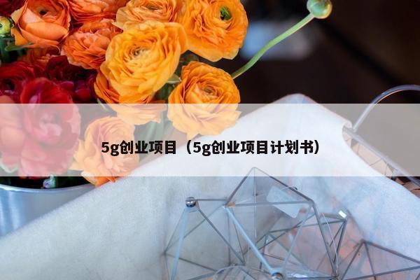 5g创业项目（5g创业项目计划书）