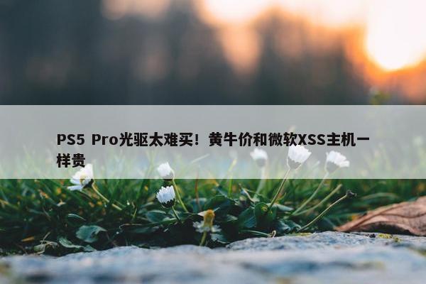 PS5 Pro光驱太难买！黄牛价和微软XSS主机一样贵