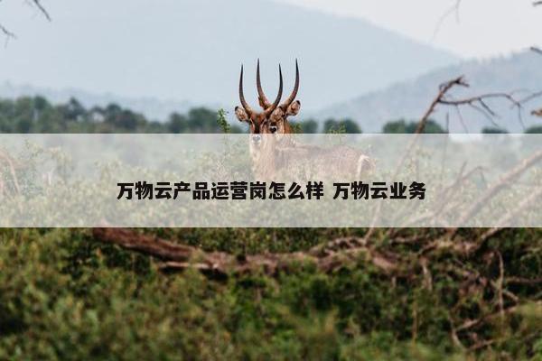 万物云产品运营岗怎么样 万物云业务