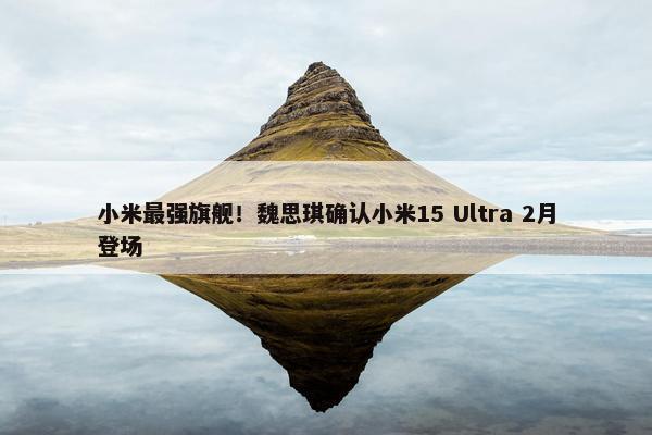 小米最强旗舰！魏思琪确认小米15 Ultra 2月登场