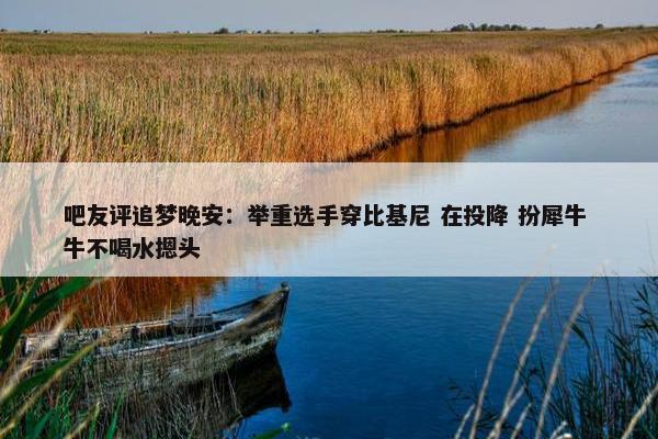 吧友评追梦晚安：举重选手穿比基尼 在投降 扮犀牛 牛不喝水摁头