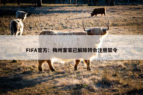 FIFA官方：梅州客家已解除转会注册禁令