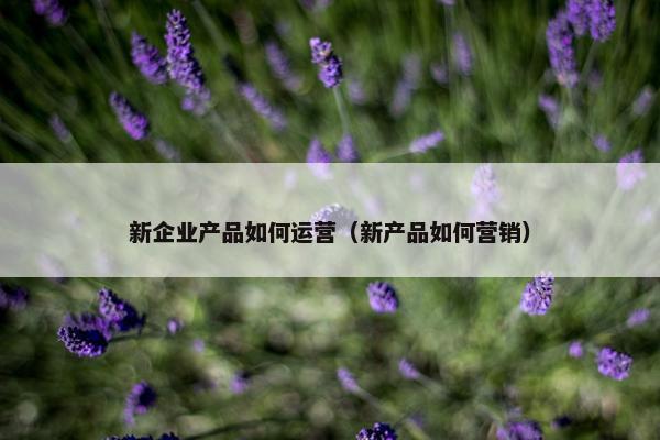 新企业产品如何运营（新产品如何营销）