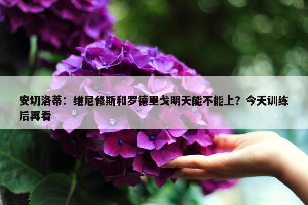 安切洛蒂：维尼修斯和罗德里戈明天能不能上？今天训练后再看