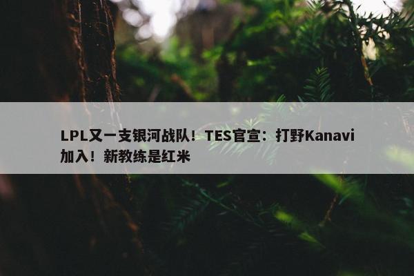 LPL又一支银河战队！TES官宣：打野Kanavi加入！新教练是红米