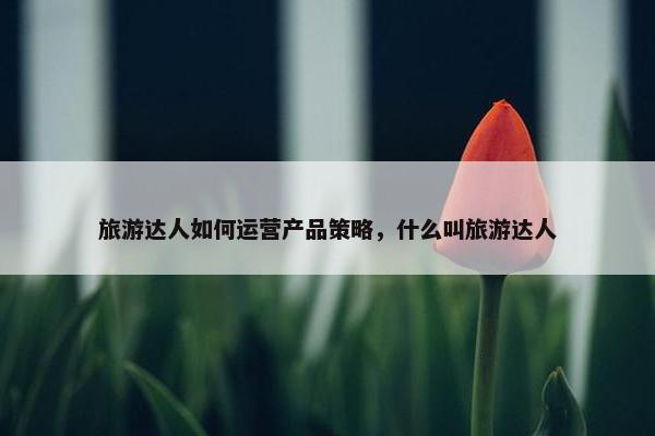 旅游达人如何运营产品策略，什么叫旅游达人